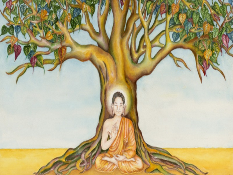 Cây bồ đề và sự đắc đạo của Đức Phật Thích Ca